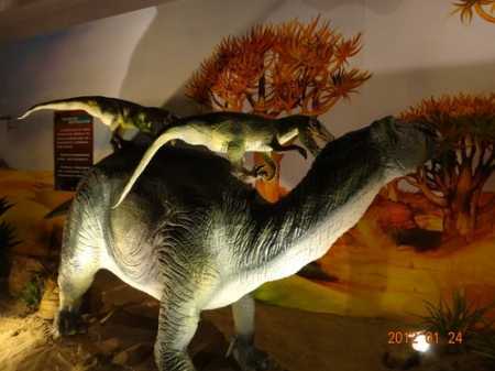 仿真昆虫厂家讲下如何定制仿真恐龙?