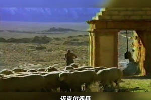 怀旧版！早期迈克尔乔丹佳得乐广告！